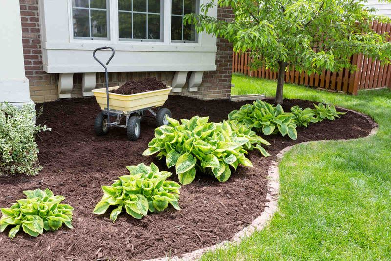 Thick Mulch Piled Against The Foundation Thick Mulch Piled Against The Foundation