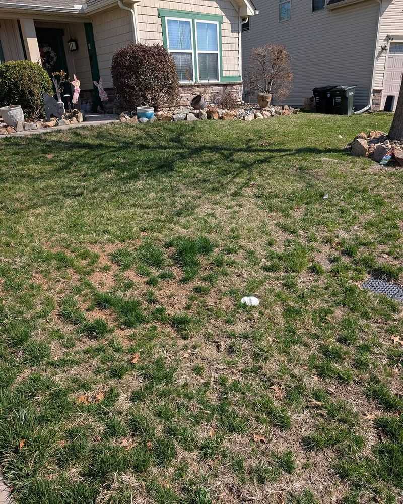 Thin Lawns Leave Bare Soil Exposed