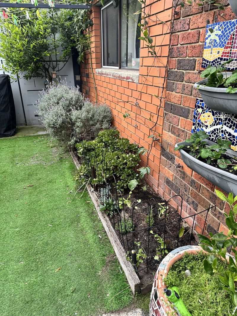Thin Out Damp Beds Near The Walls Thin Out Damp Beds Near The Walls