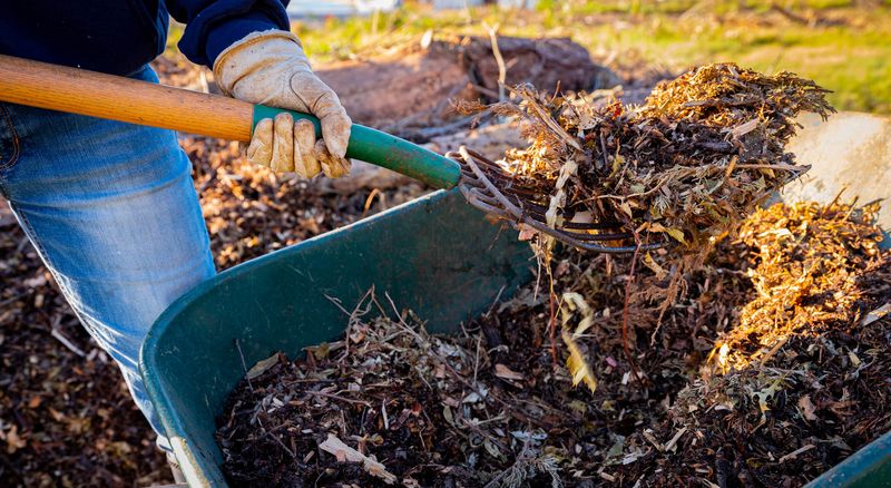 Thin Out Mulch Before It Holds Too Much Moisture Thin Out Mulch Before It Holds Too Much Moisture