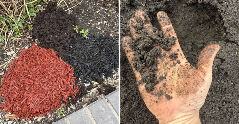 Things You Should Never Add To Michigan Clay Soil No Matter What You Read Online