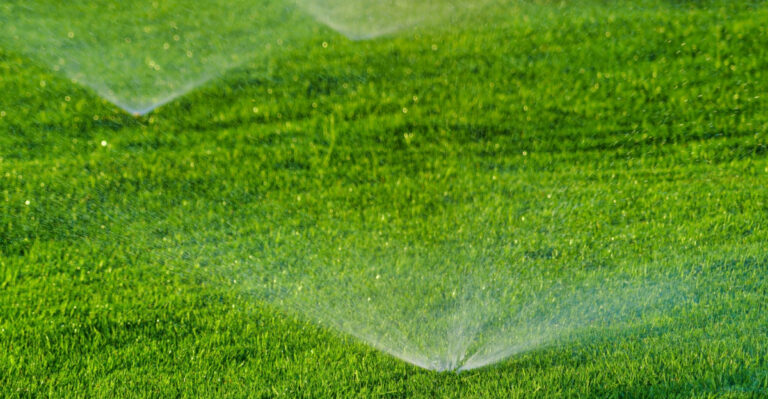 This Common Wisconsin Yard Feature Draws Moles After Dark