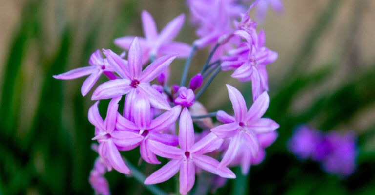 Image Credit: © InnaPoka / Shutterstock