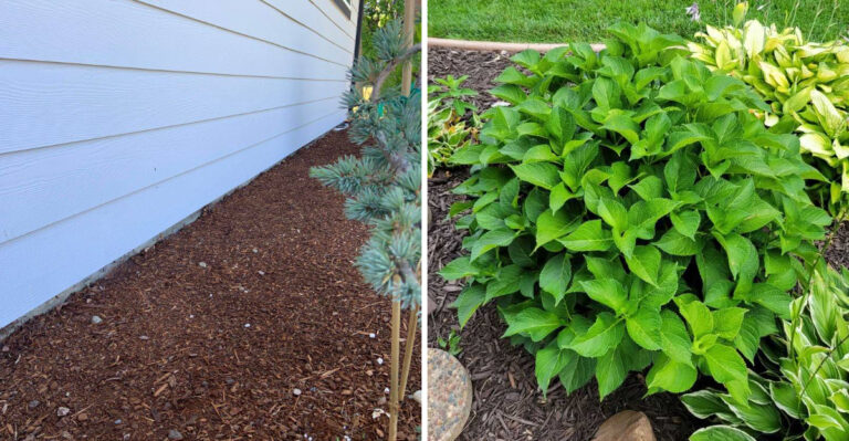 This Is The Foundation-Smart Garden Bed Michigan Homeowners Should Build