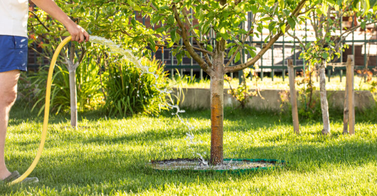This Is What California Gardens Need To Survive This Week’s Record Heat Wave