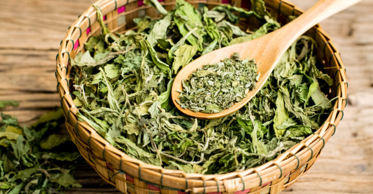 This Natural, Calorie-Free Sweetener Grows Easily In Alabama Gardens