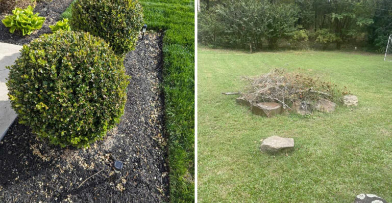 This North Carolina Yard Border Mistake May Be Bringing Ticks Closer To Your Patio