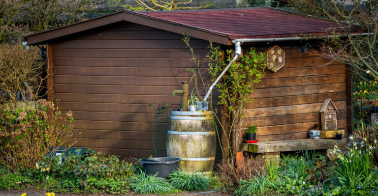 This Rain Barrel Setup Is Helping Minnesota Gardens Cope While Water Restrictions Tighten