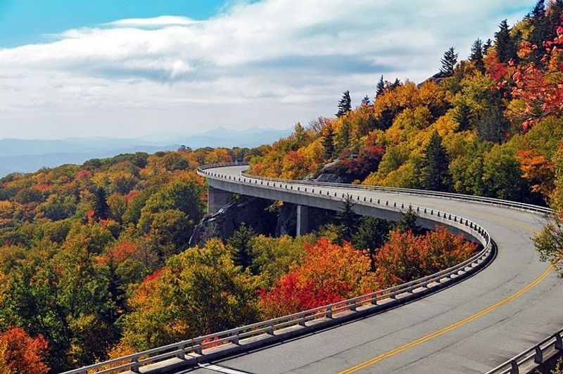 This Route Takes You Through Some Of The State's Most Iconic Native Trees This Route Takes You Through Some Of The State's Most Iconic Native Trees
