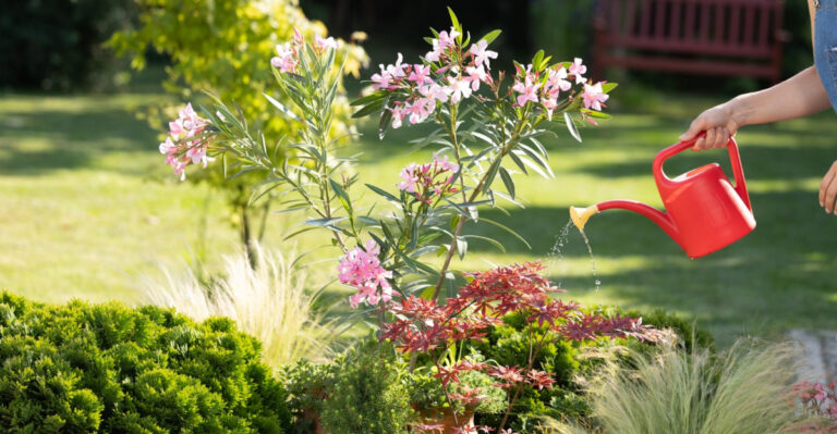 This Simple Trick Trains Utah Plants To Handle Drought Better