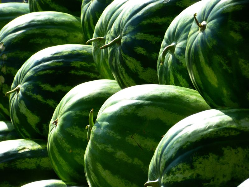 Thump The Melon And Listen For A Hollow Sound