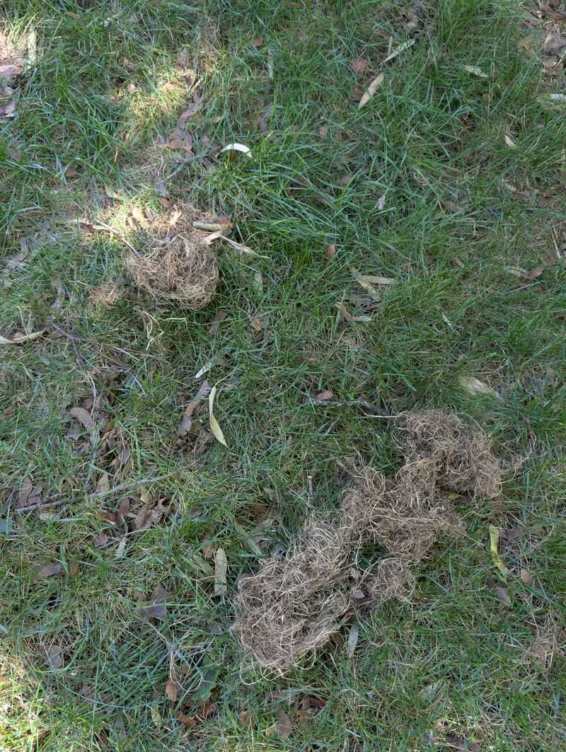 Thunder And Hidden Storm Debris Make It Unsafe Thunder And Hidden Storm Debris Make It Unsafe