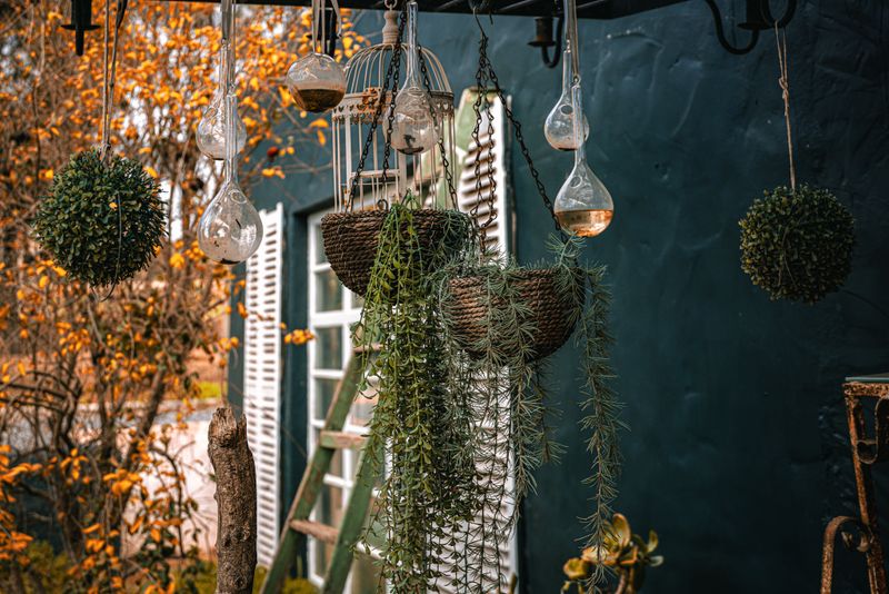 Tips For Bringing This Trend To Your Own Yard Tips For Bringing This Trend To Your Own Yard