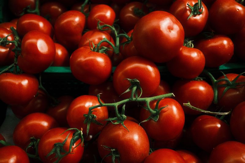 Tomatoes