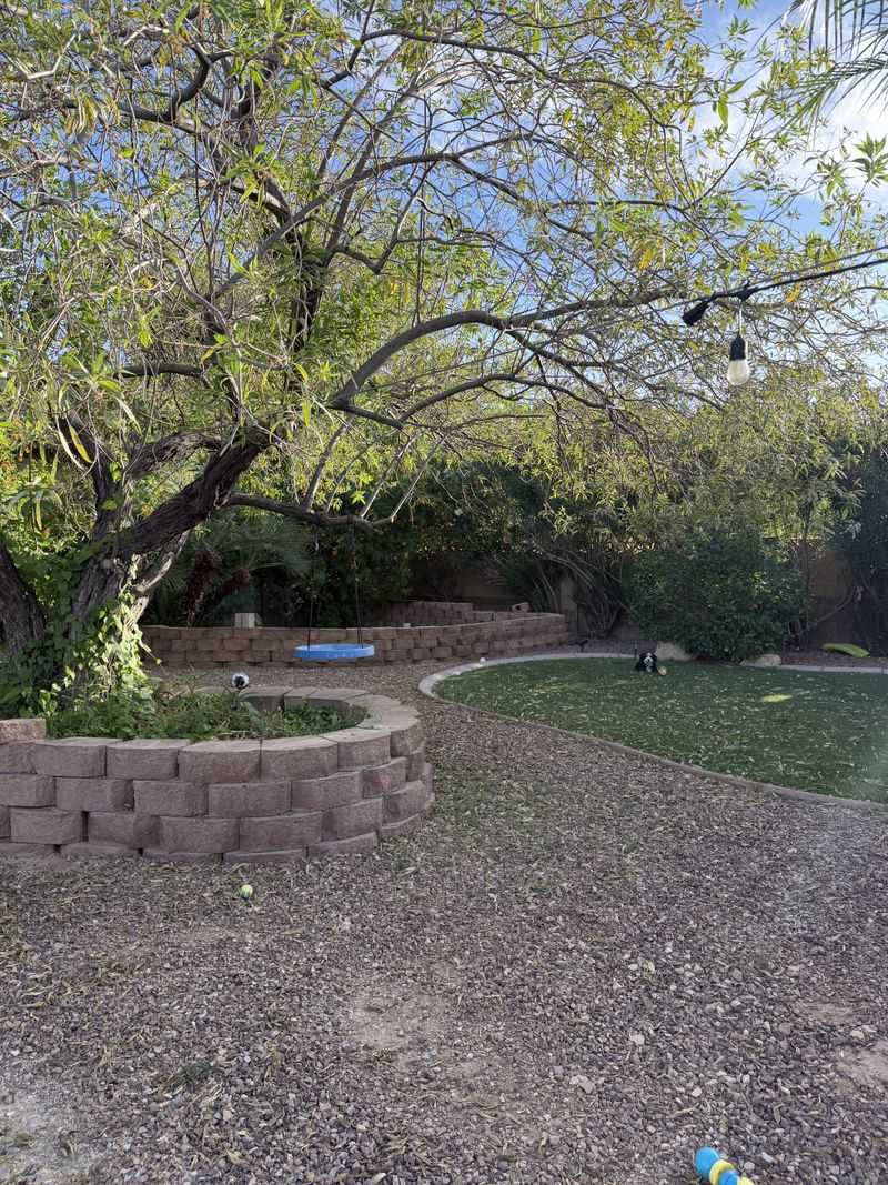 Too Few Shade Trees Leave The Yard Hotter Too Few Shade Trees Leave The Yard Hotter