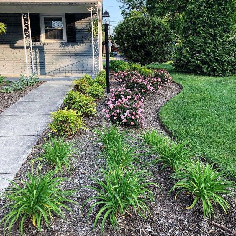 Too Much Spray Can Reduce The Helpful Insect Community Too Much Spray Can Reduce The Helpful Insect Community