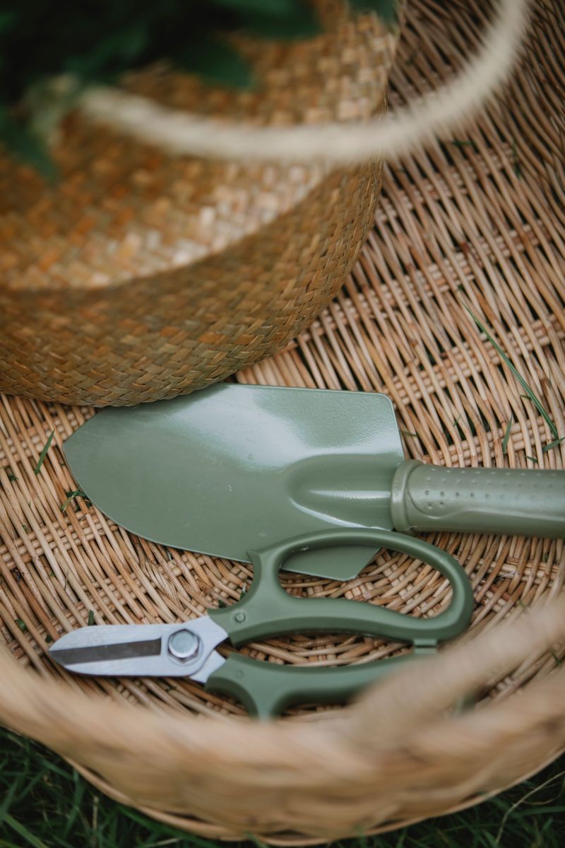Tools And Techniques For Dividing Daylilies Without Damaging Roots