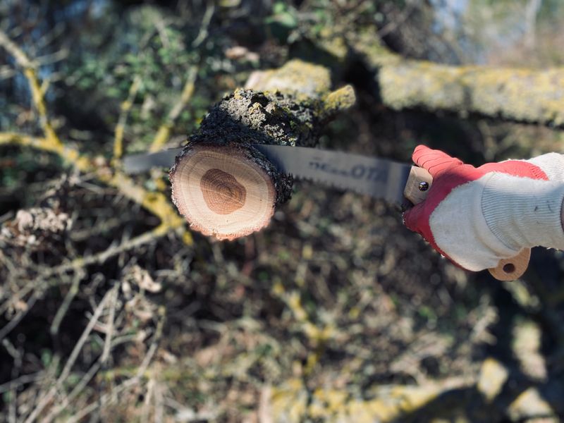 Tools Ohio Gardeners Actually Need For This Task
