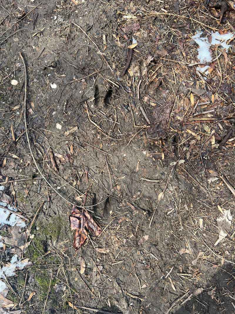 Tracks Mean Your Beds Are On A Route