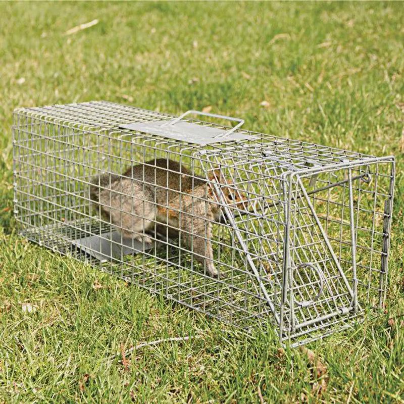 Trapping Does Not Mean You Can Move It Trapping Does Not Mean You Can Move It