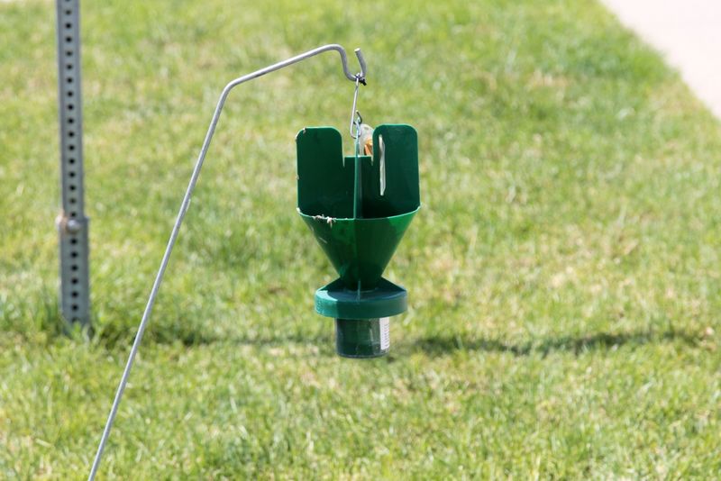 Traps and Lawn Treatments Miss the Real Problem Traps and Lawn Treatments Miss the Real Problem