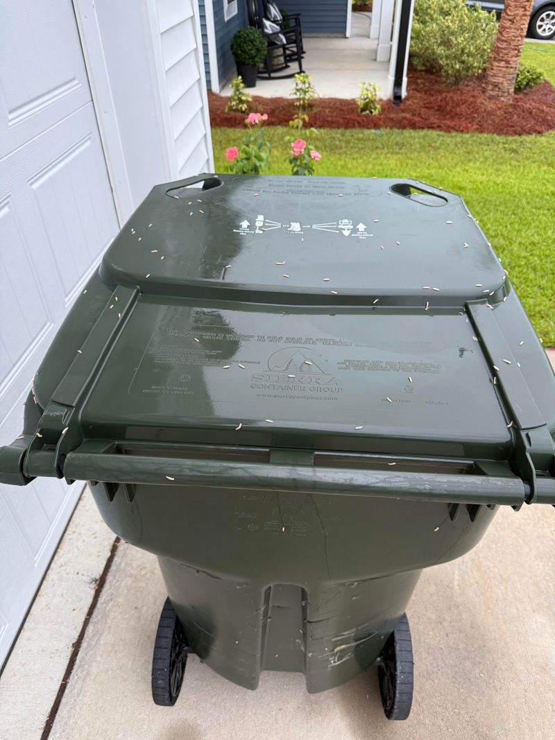 Trash Cans With Loose Lids Trash Cans With Loose Lids