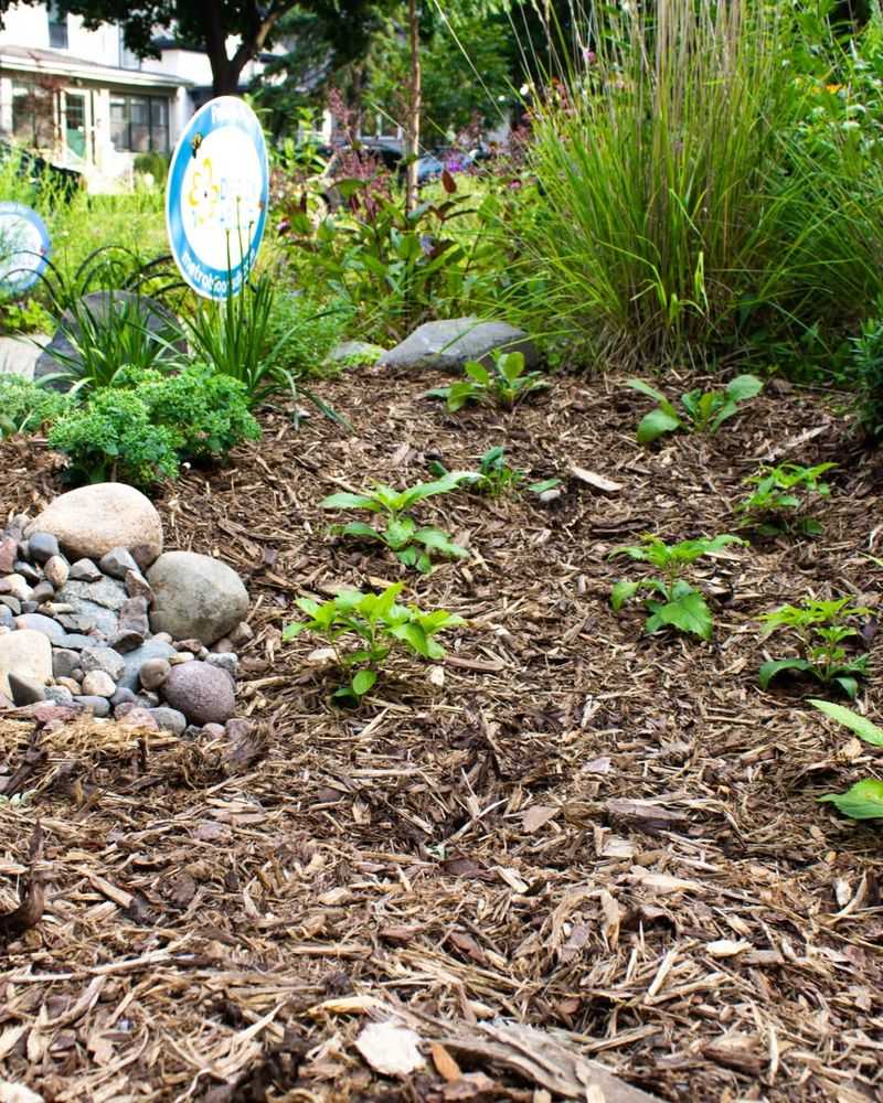 Treat Floodwater Differently From Ordinary Rain