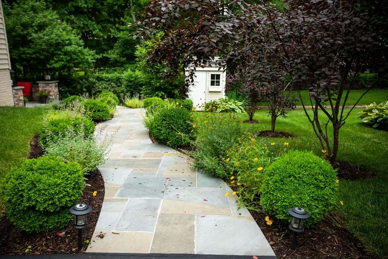 Treat The Yard As A Habitat Problem Treat The Yard As A Habitat Problem