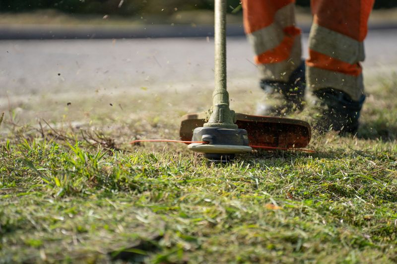 Trimming Removes Disease-Inviting Leftover Blades