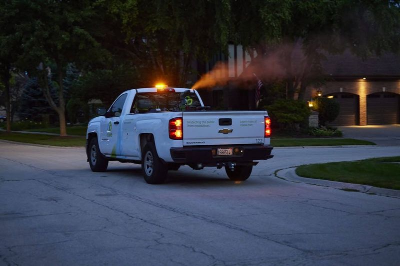 Trucks Are Spraying To Reduce Adult Mosquitoes Before They Spread Disease Trucks Are Spraying To Reduce Adult Mosquitoes Before They Spread Disease