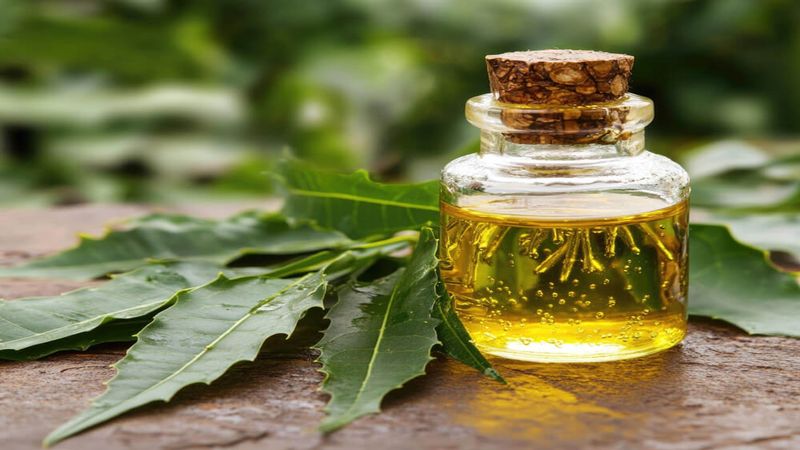 Try Neem Carefully Try Neem Carefully