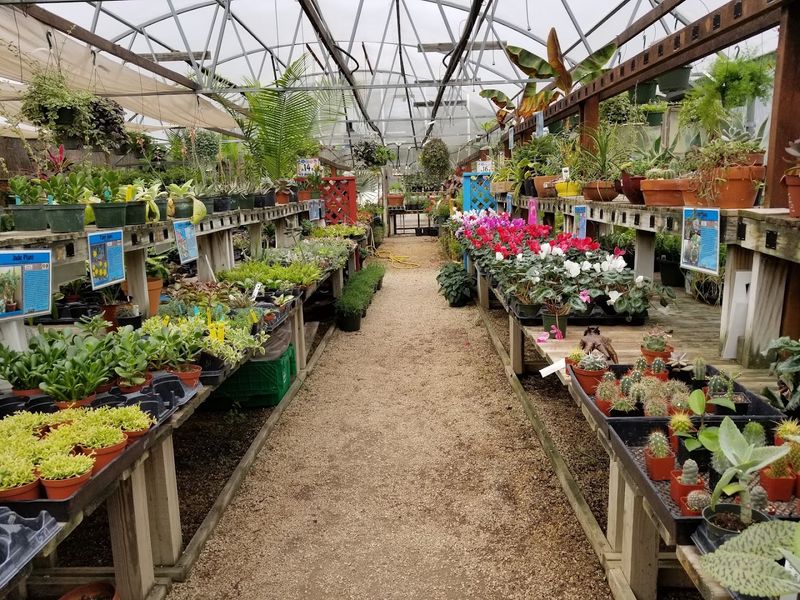 Try Rainbow Gardens In San Antonio Try Rainbow Gardens In San Antonio
