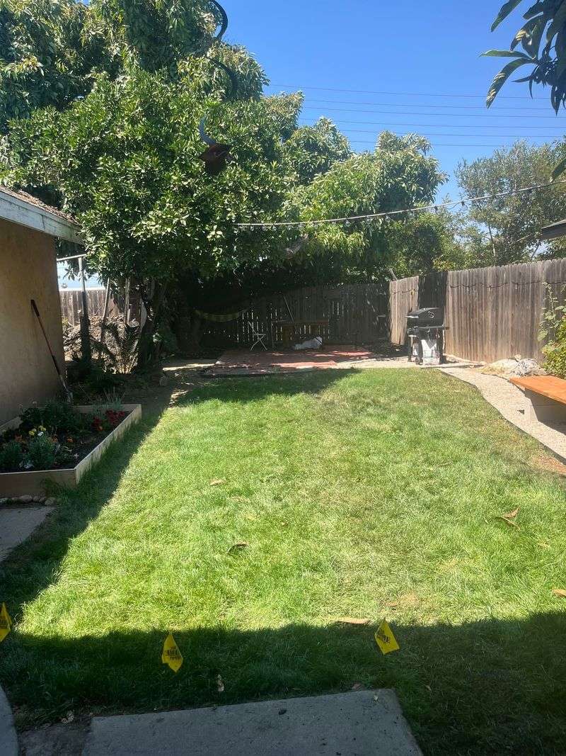 Turf Still Works In High Use Areas