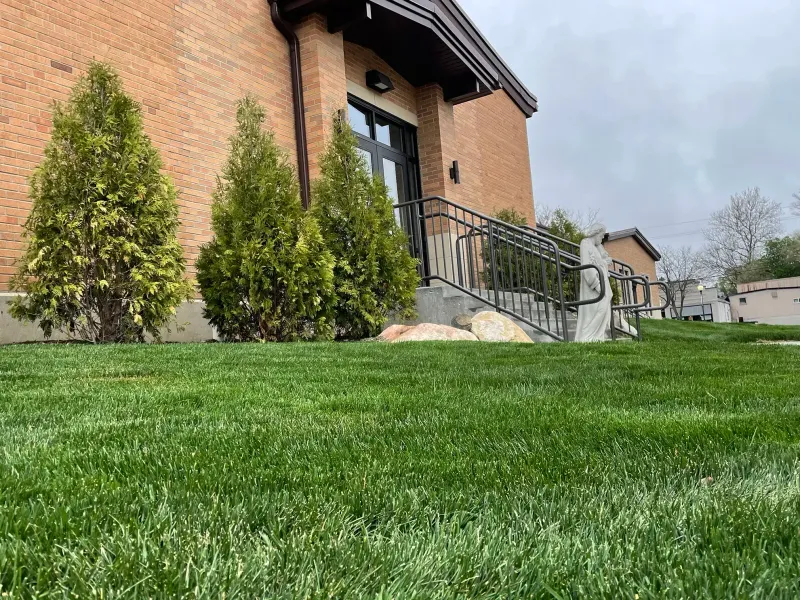 Turfgrass Handles Regular Foot Traffic Better Turfgrass Handles Regular Foot Traffic Better