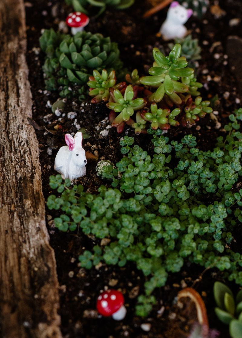 Turn It Into A Mini Fairy Garden Display