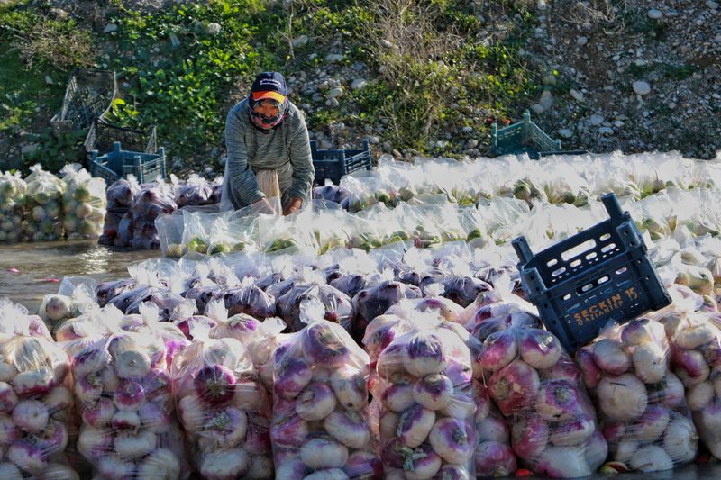 Turnips Turnips