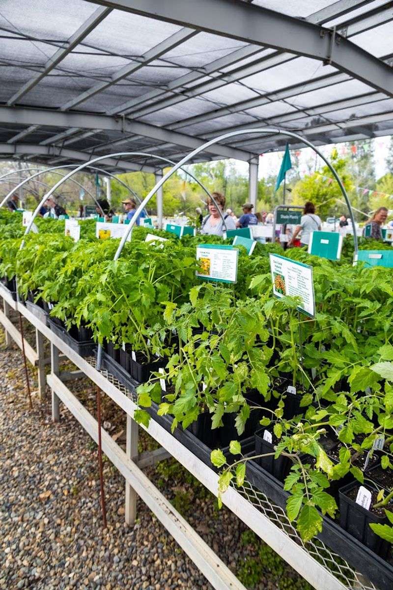 Turtle Bay Nursery — Redding Turtle Bay Nursery — Redding