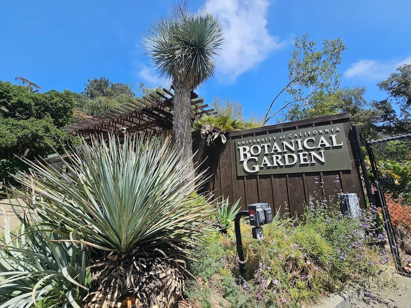 UC Botanical Garden At Berkeley Garden Shop & Plant Nursery — Berkeley, CA UC Botanical Garden At Berkeley Garden Shop & Plant Nursery — Berkeley, CA
