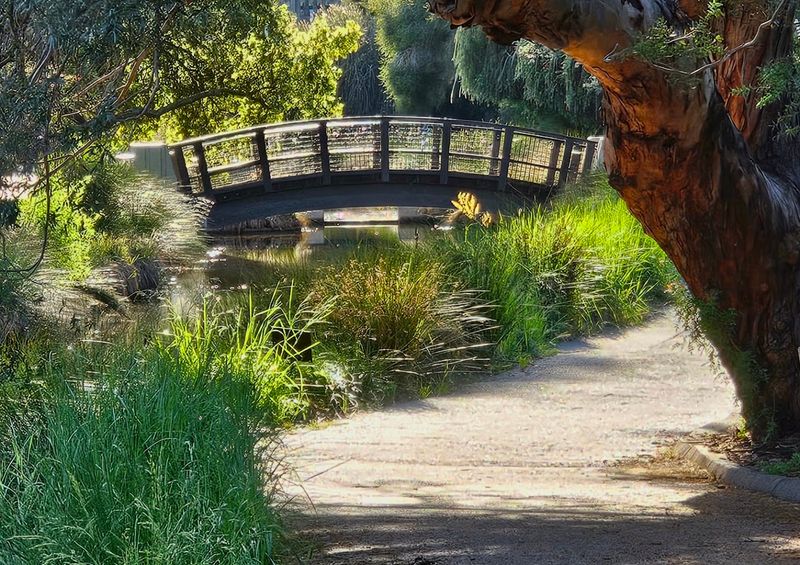 UC Davis Arboretum Turns A Campus Walk Into A Garden Trip