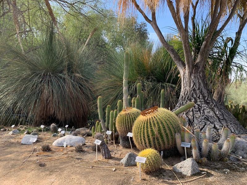 UC Riverside Botanic Gardens Adds Inland Heat-Loving Texture UC Riverside Botanic Gardens Adds Inland Heat-Loving Texture