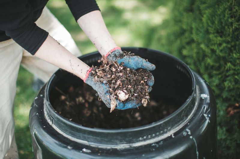 Unfinished Compost Mulch Unfinished Compost Mulch