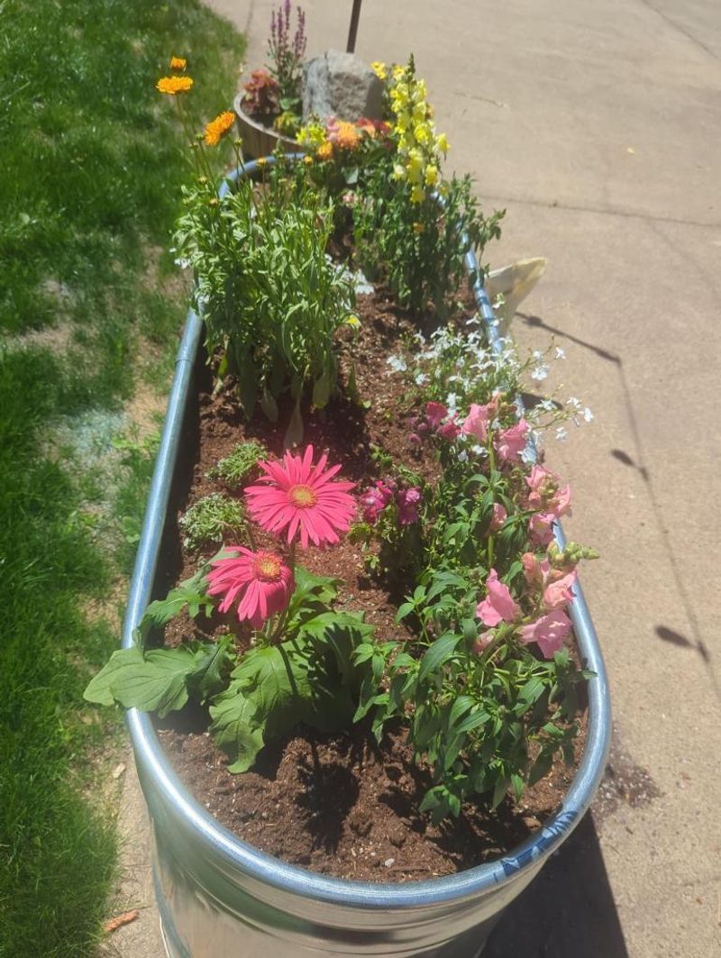 Upgrade Tiny Pots Fast Upgrade Tiny Pots Fast