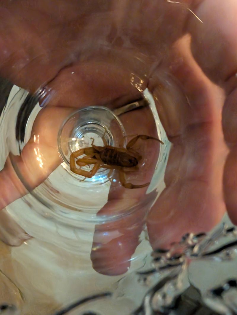 Use A Jar If You Must Move It Use A Jar If You Must Move It