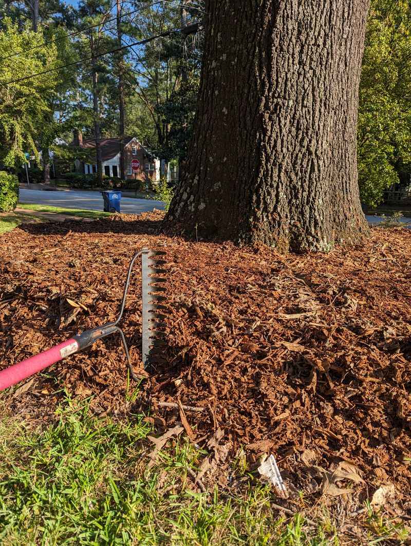 Use A Thin Layer Around Trees
