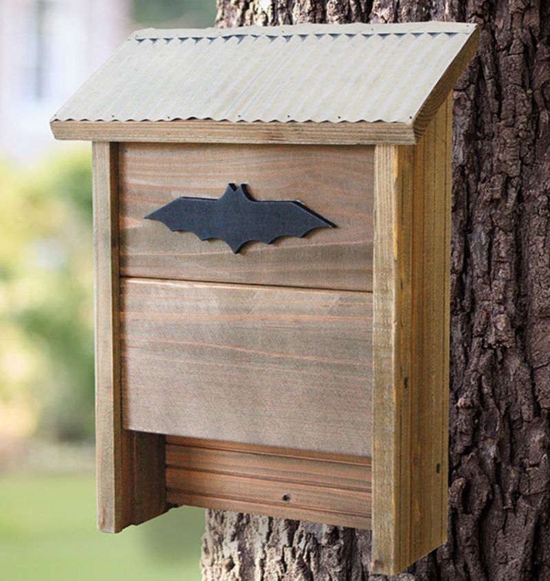 Use Bat Houses With Care