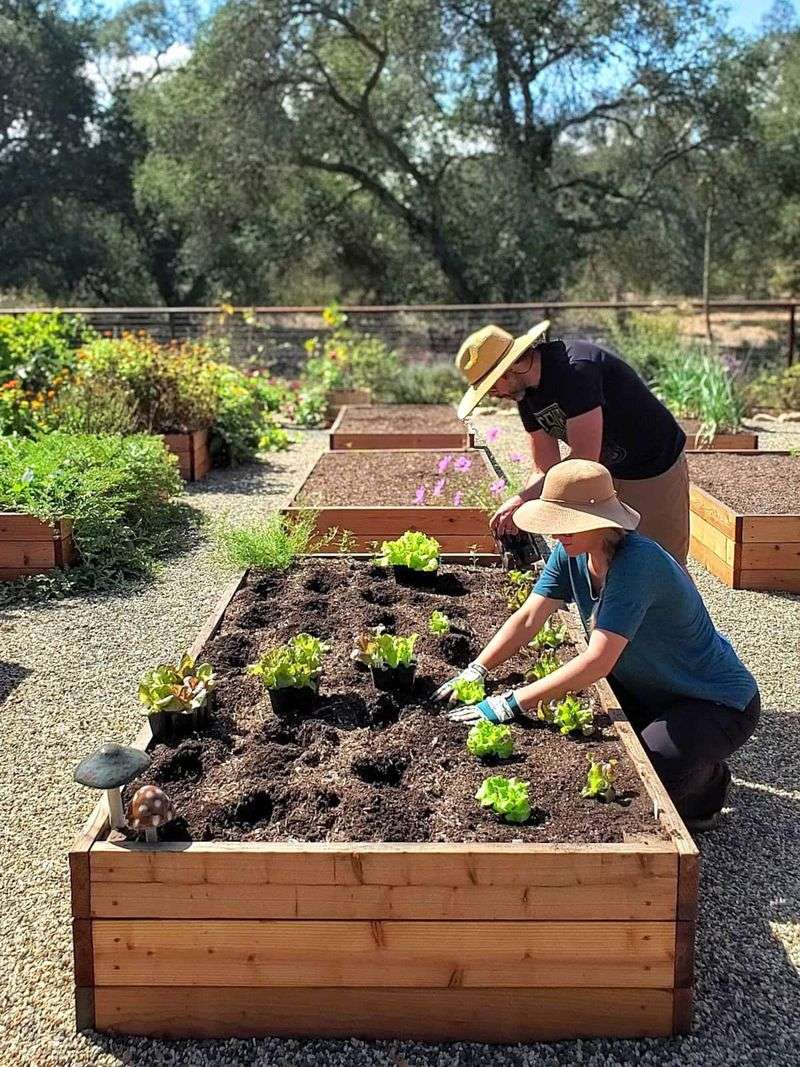 Use Compost As A Gentle Soil Support