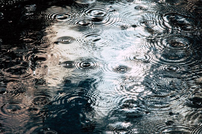 Use Distilled Or Rainwater Only