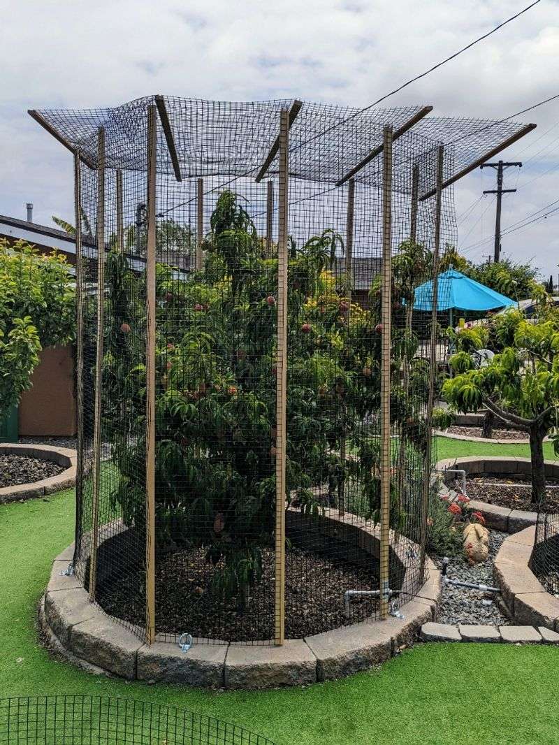 Use Fencing To Keep Larger Wildlife Away