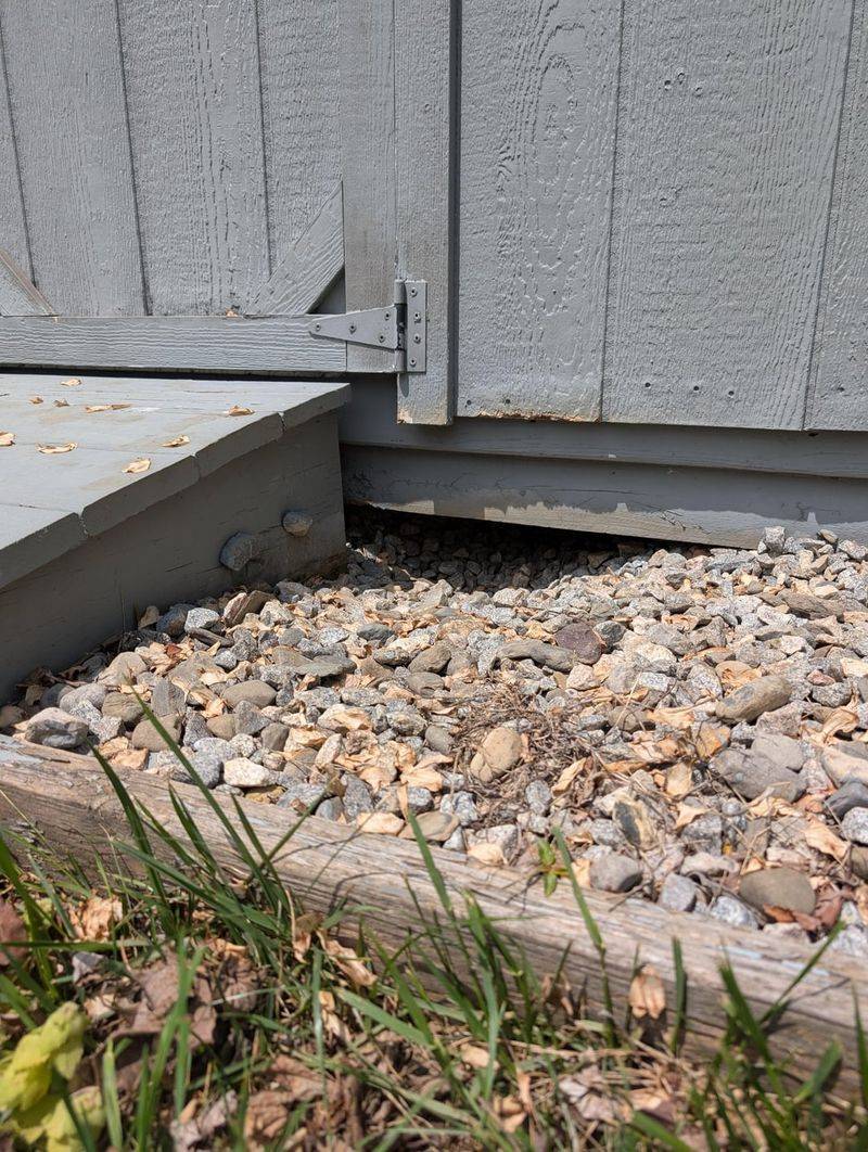 Use Gravel Where Rodents Need Fewer Hiding Spots Use Gravel Where Rodents Need Fewer Hiding Spots