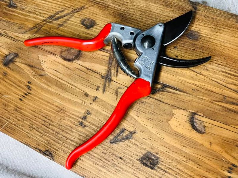 Use Hand Pruners For Selective Cuts Use Hand Pruners For Selective Cuts
